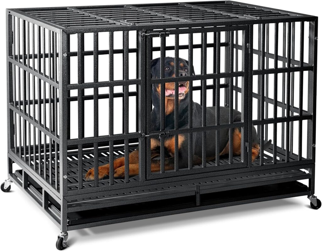 81aSK08xZWL._AC_SL1500_.jpg