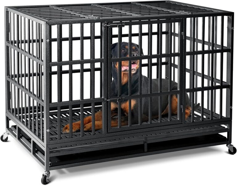 81aSK08xZWL._AC_SL1500_.jpg