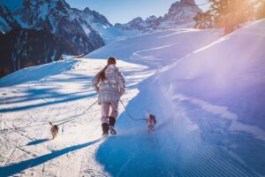 Master leash training with top tips for success - positive reinforcement and loose leash