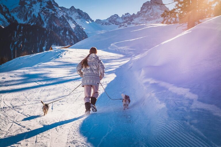 leash training tips