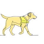 dog nutrition guide