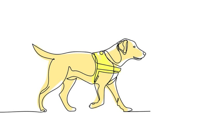 dog nutrition guide