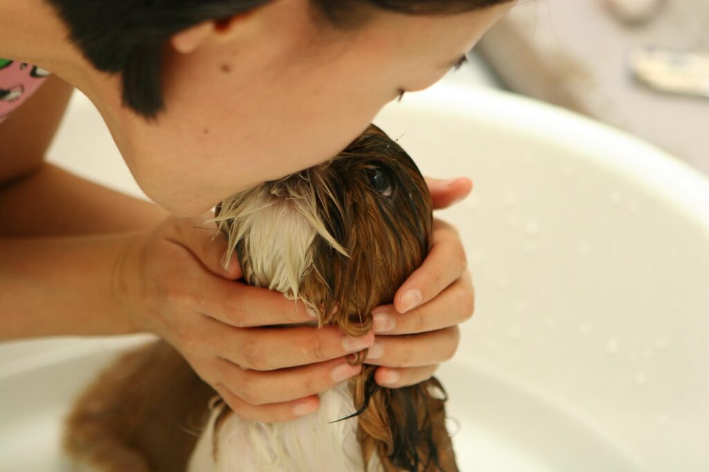 liilxliil-dog-237193_1280