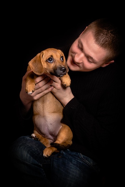 How to introduce a puppy to children for a smooth transition - preparation, first meeting, and bonding tips