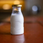 Can dogs drink milk? What every owner needs to know