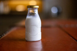 Can dogs drink milk? What every owner needs to know