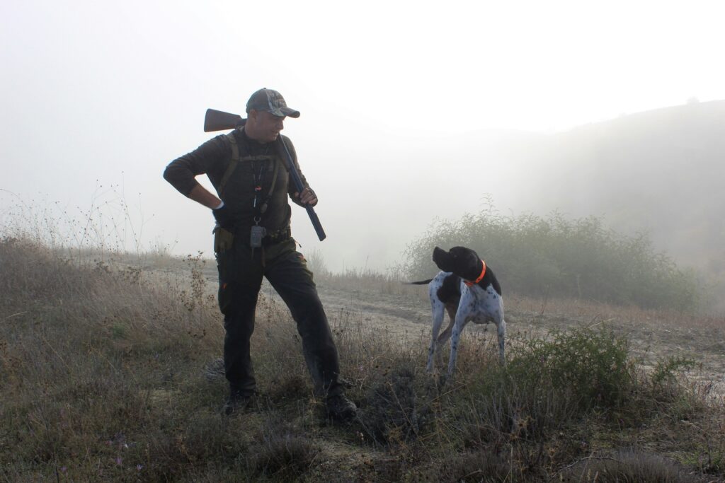 hunting dog