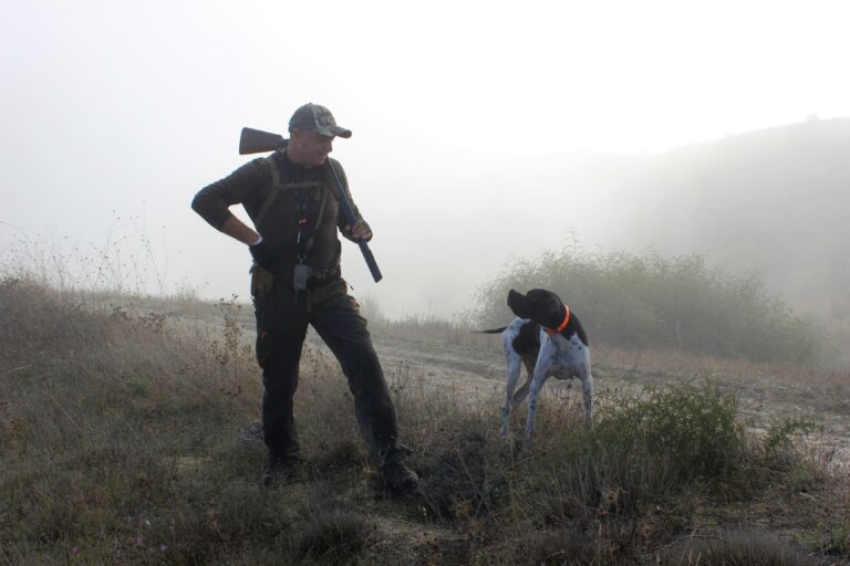 hunting dog